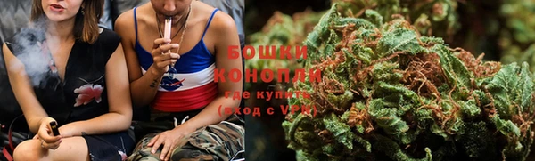 ПСИЛОЦИБИНОВЫЕ ГРИБЫ Алексеевка