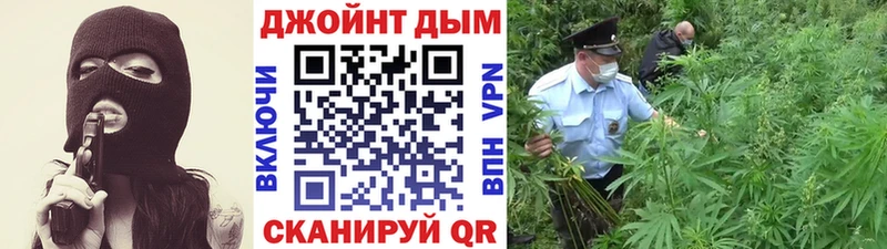Каннабис White Widow Шумиха